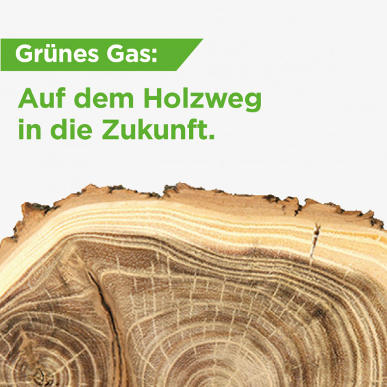 Auf dem Holzweg in die Zukunft