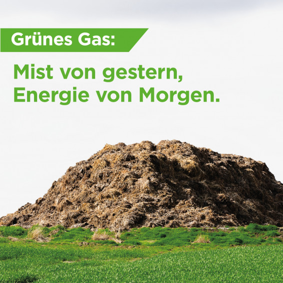 Mist von gestern ist Energie von Morgen