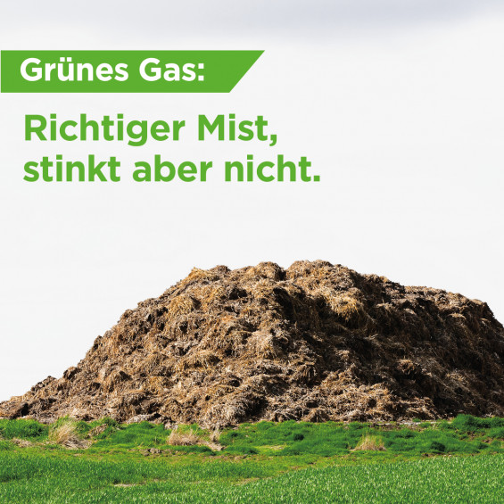 Richtiger Mist
