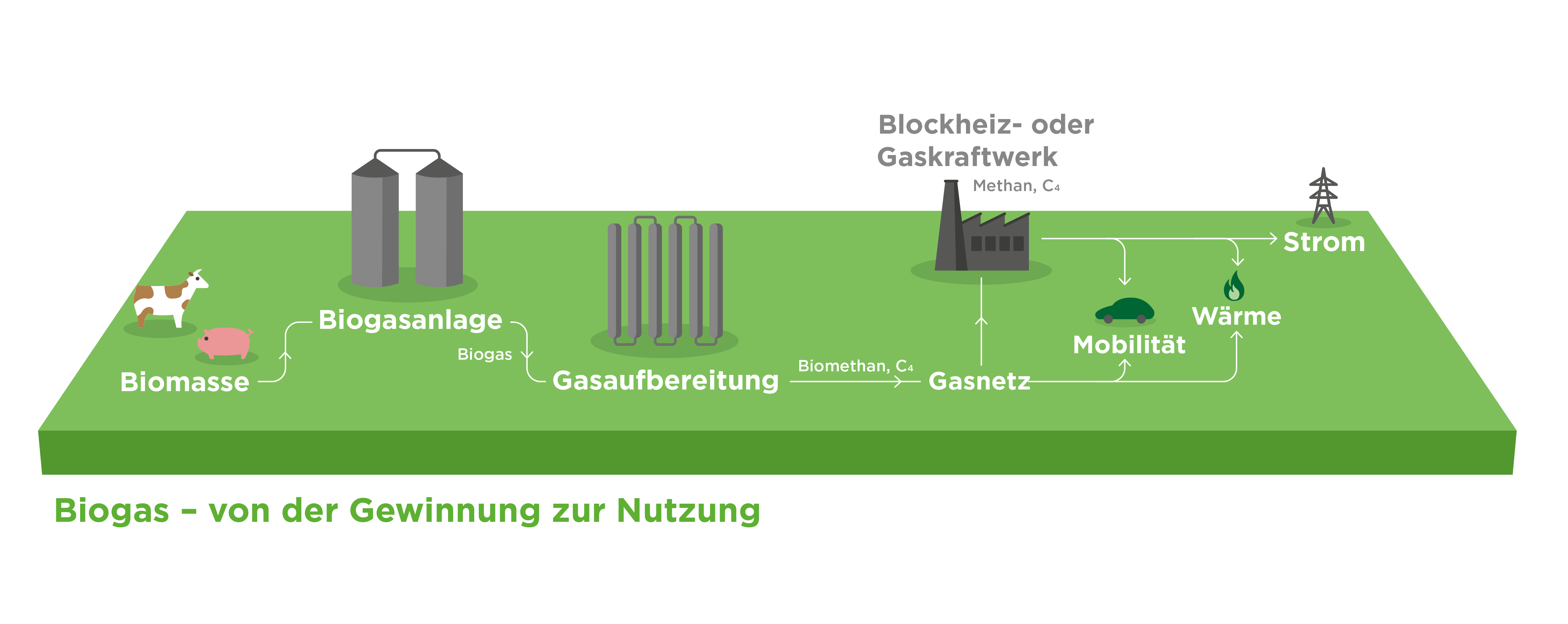 Biogas Gewinnung