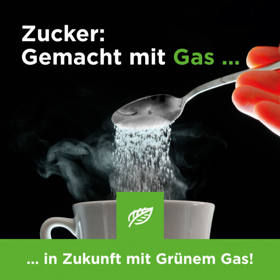 GG Zucker 1080x1080
